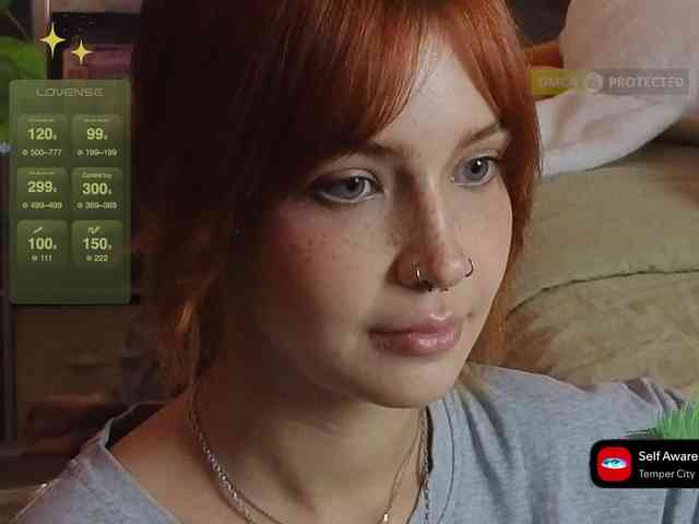LisLy webcam