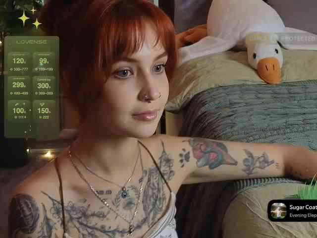 LisLy webcam