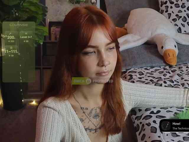 LisLy webcam
