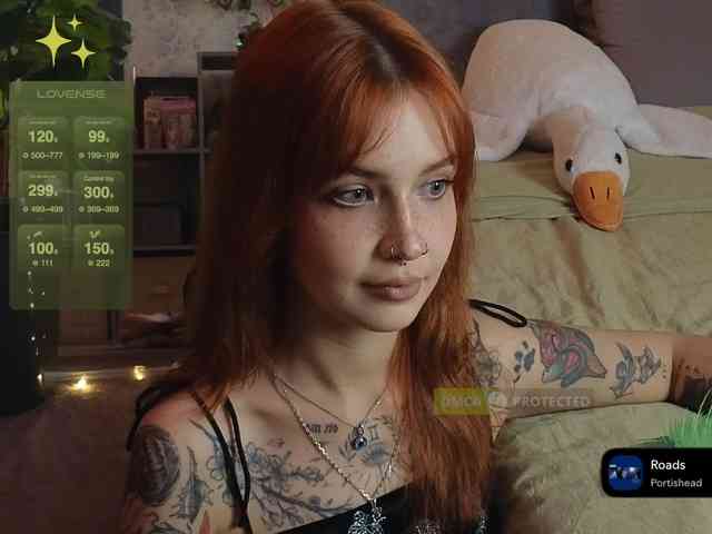 LisLy webcam