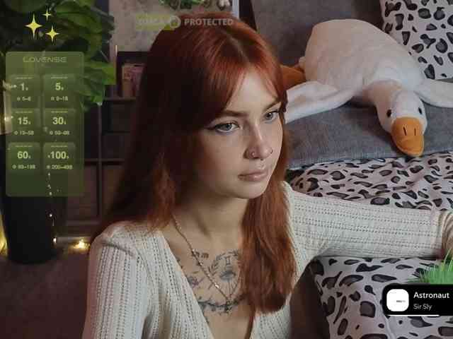 LisLy webcam