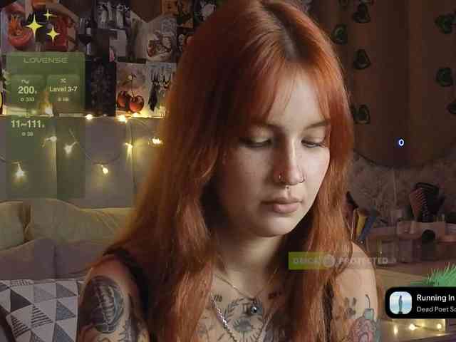 LisLy webcam