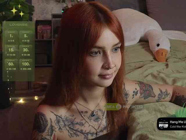 LisLy webcam