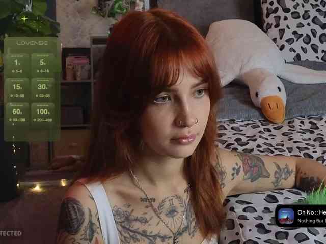 LisLy webcam