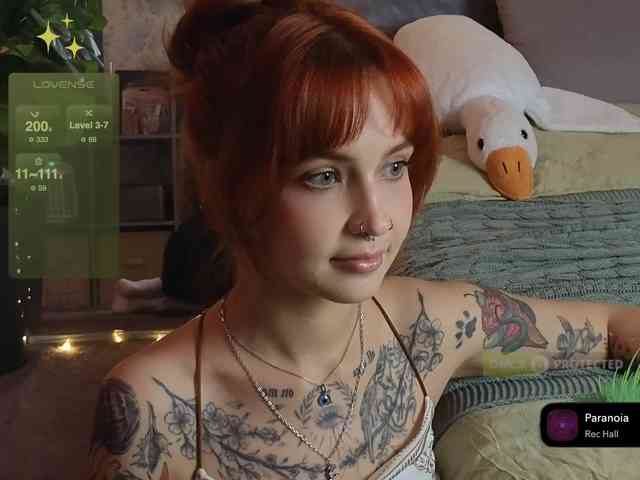 LisLy webcam