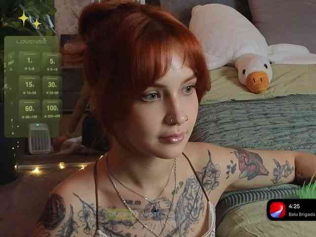 LisLy webcam