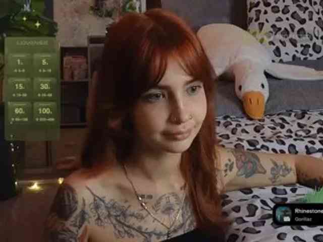 LisLy webcam