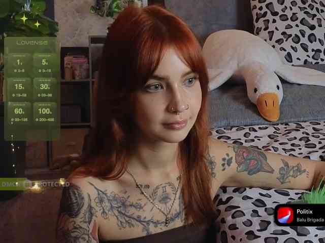 LisLy webcam