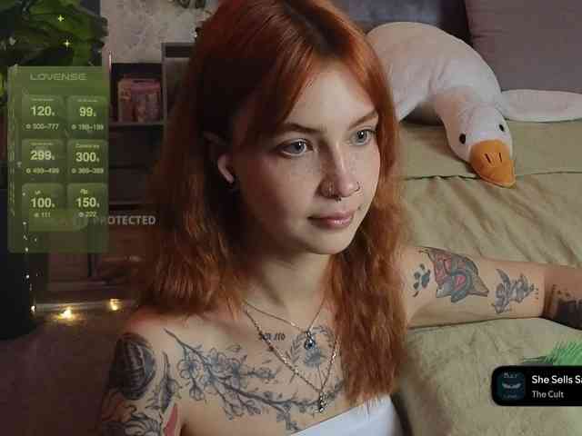 LisLy webcam