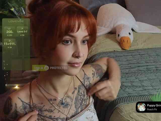 LisLy webcam