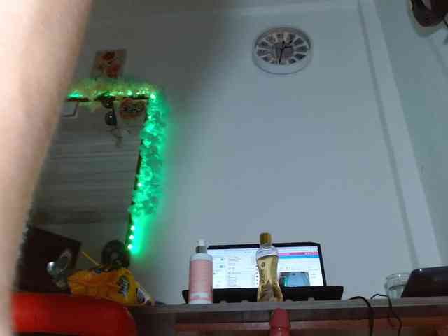 meriilynmonroe webcam