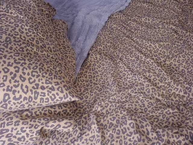 ZinaSteff