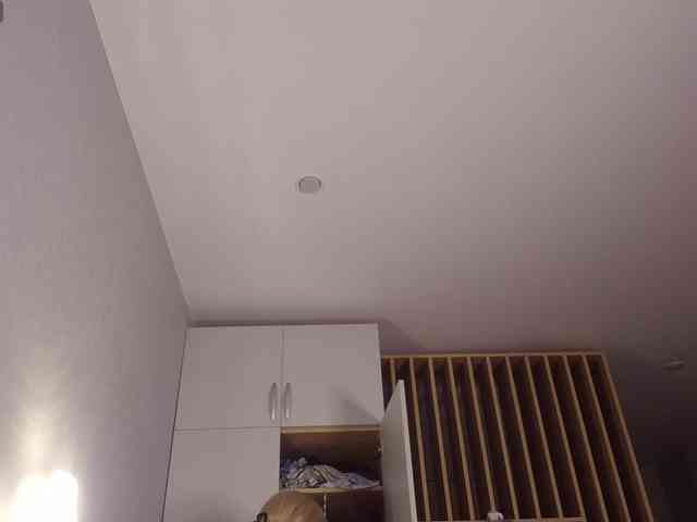 ZinaSteff webcam