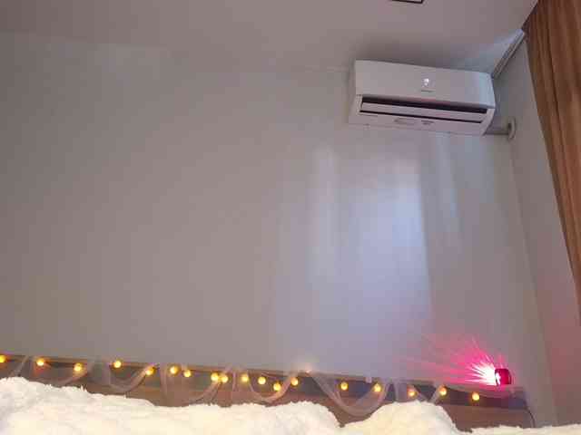ZinaSteff
