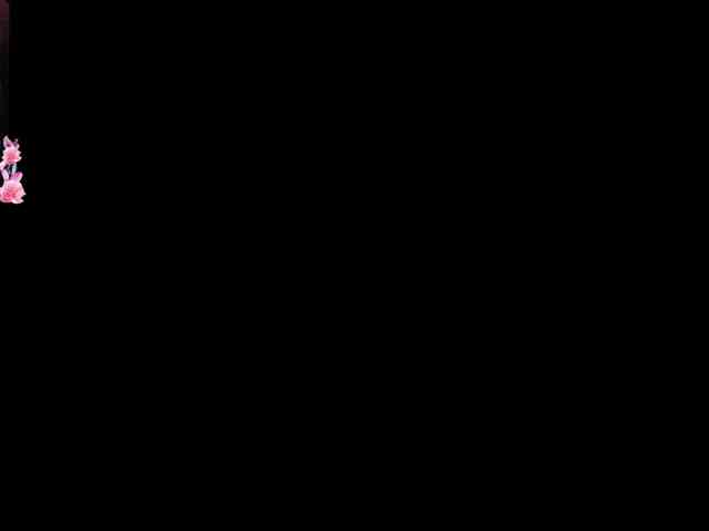 ZinaSteff