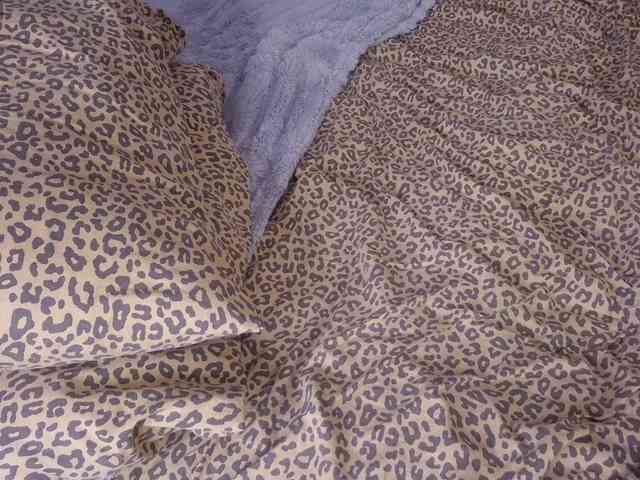 ZinaSteff