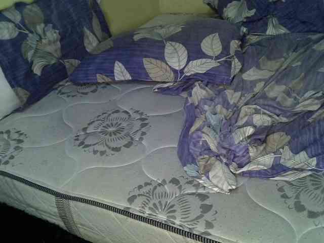 Blossomed200 webcam