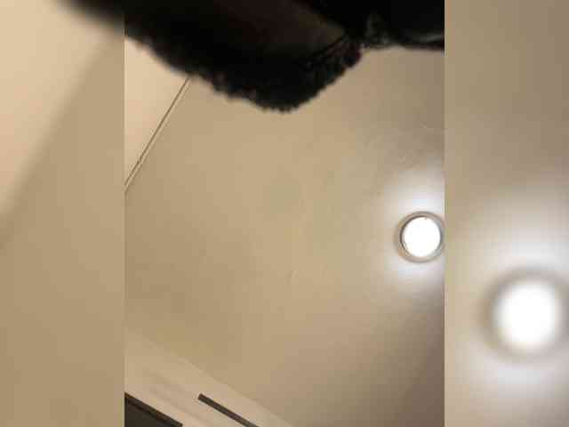 sara-smithh-1 webcam