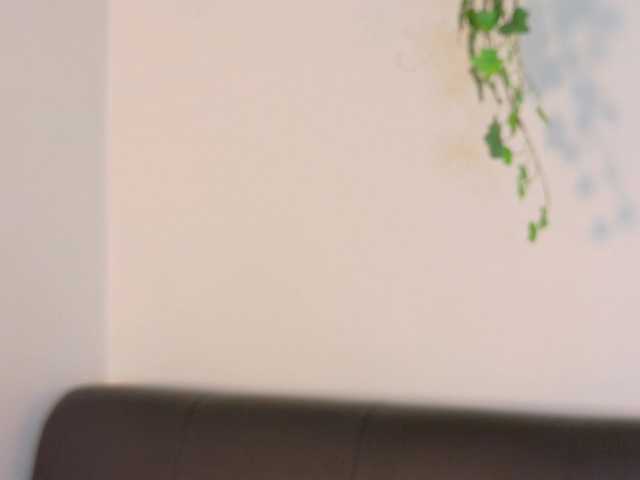 Evaa-Daemon live cam preview