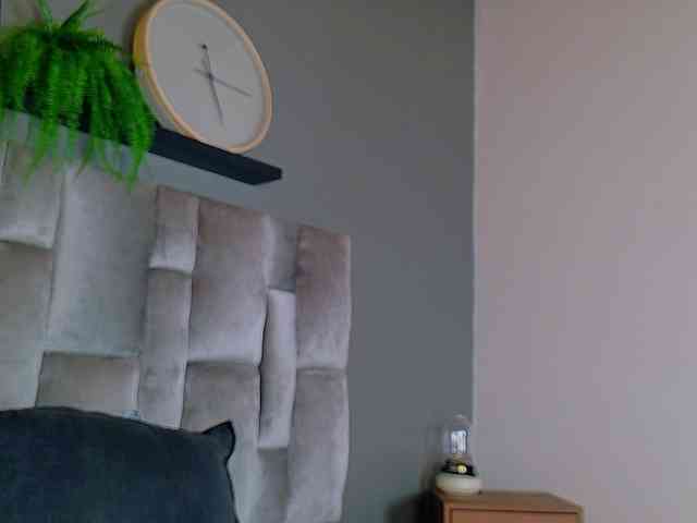 Evaa-Daemon webcam