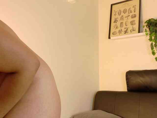 Evaa-Daemon webcam
