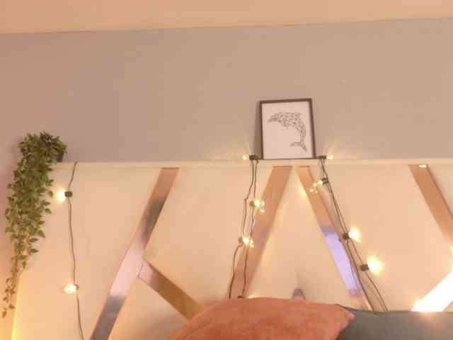 Evaa-Daemon webcam