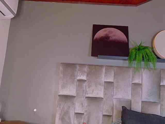 Evaa-Daemon webcam