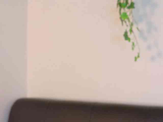Evaa-Daemon webcam