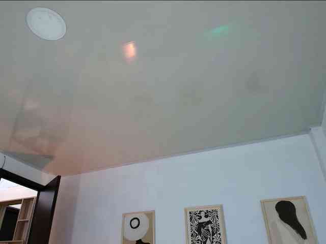 victoria-hairy webcam