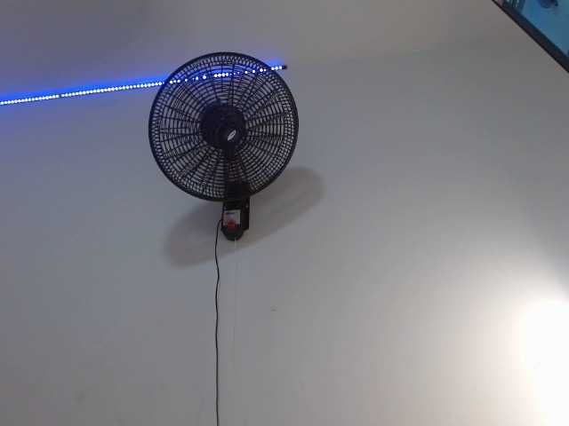 rose-bukaters live cam preview