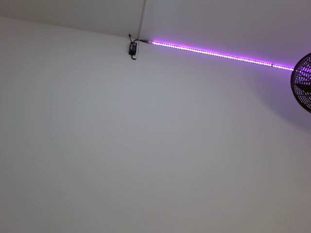 rose-bukaters live cam preview