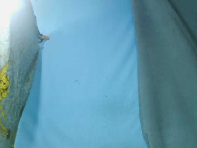 Laylla0377 live cam on BongaCams