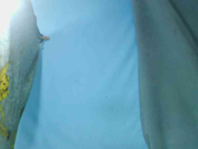 Laylla0377 webcam