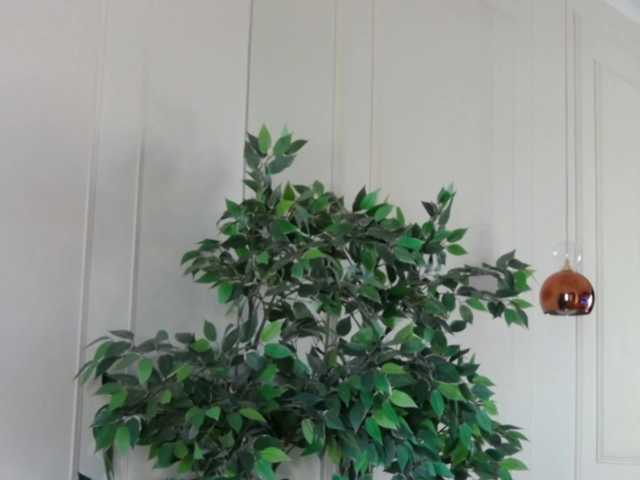 ArianaRhodes live cam on BongaCams