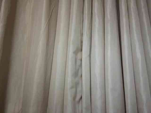 LesleyRener webcam