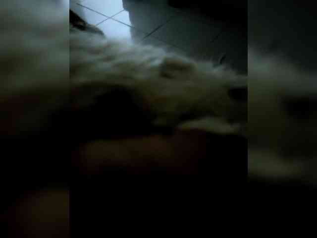 Modelo: SuzaniLouize