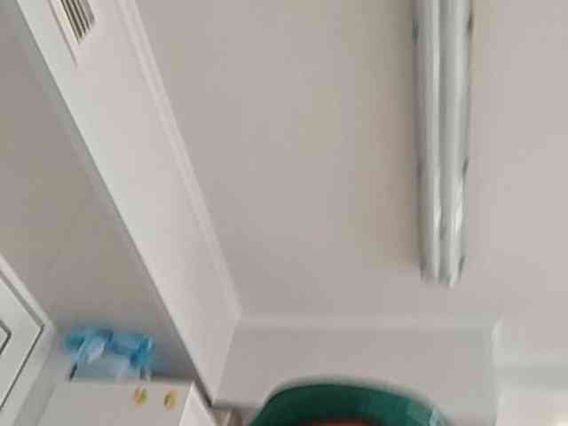 Melania7 webcam