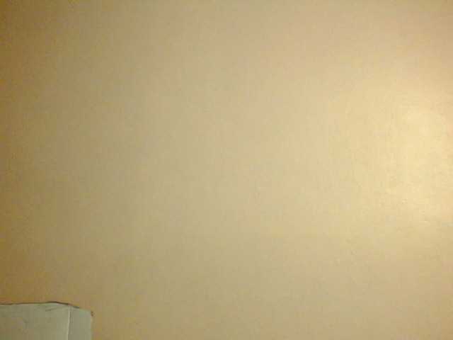 Claude254 webcam bongacams model stream image