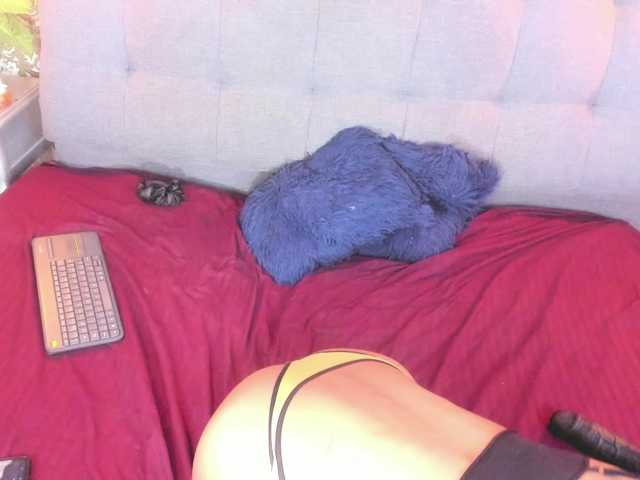indigovelvet live cam on BongaCams