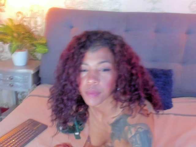 indigovelvet