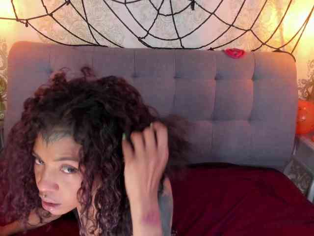 indigovelvet