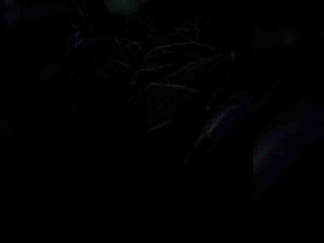 kattyperry-1 webcam