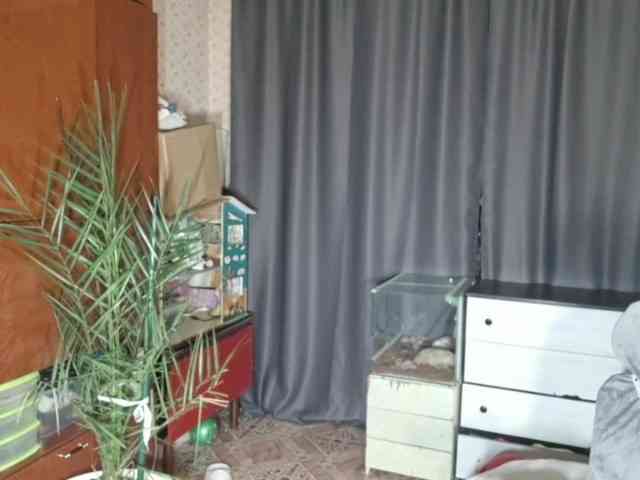 DoreenSedor webcam