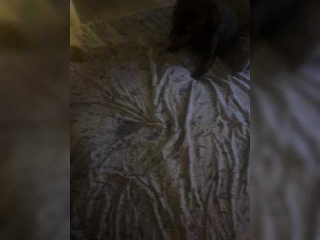 Nichi-Pichi live cam on BongaCams