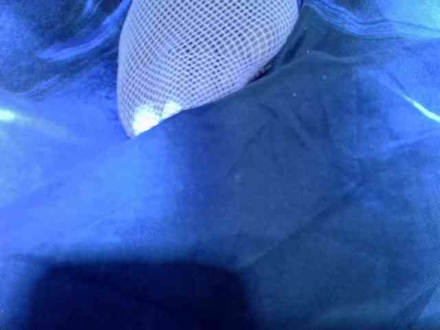 Candybaiby webcam