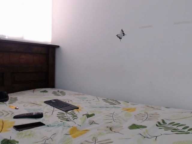 Sofi-lov live cam on BongaCams