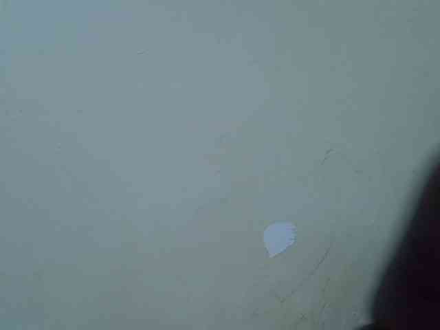 pretty-kimmy webcam