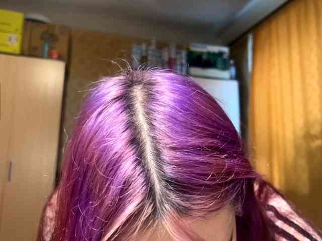 Modèle: LoganMarcano