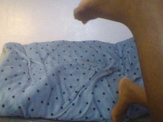 Evee