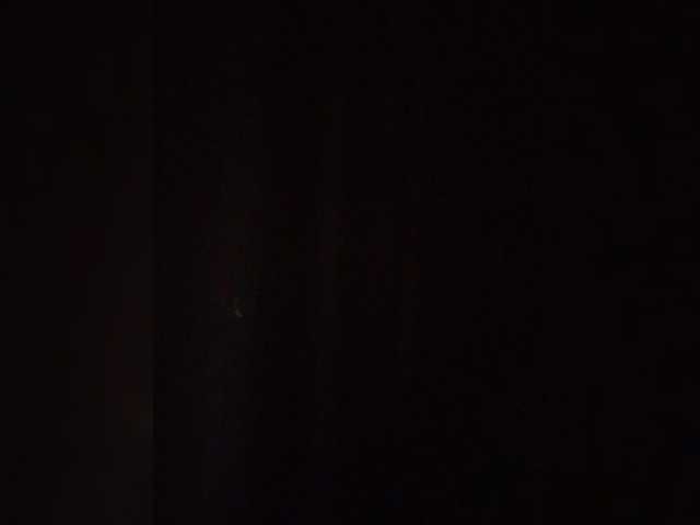 TheZebra live cam